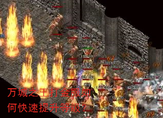 万城之王打金服如何快速提升等级? 万城之王打金服如何快速提升等级?
