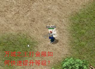 万城之王打金服如何快速提升等级? 万城之王打金服如何快速提升等级?