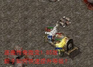 逐鹿传奇微变1.85版新手如何快速提升等级? 逐鹿传奇微变1.85版新手如何快速提升等级?