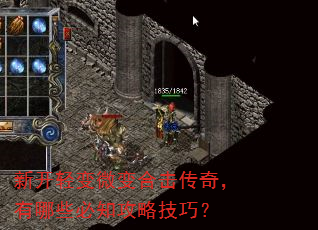 新开轻变微变合击传奇,有哪些必知攻略技巧? 新开轻变微变合击传奇,有哪些必知攻略技巧?