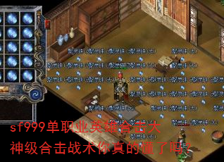 sf999单职业英雄合击大神级合击战术你真的懂了吗? sf999单职业英雄合击大神级合击战术你真的懂了吗?