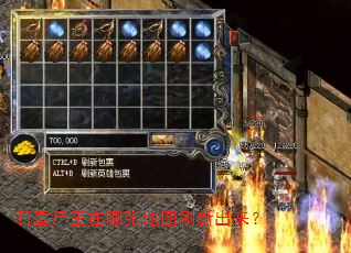石墓尸王在哪张地图刷新出来? 石墓尸王在哪张地图刷新出来?