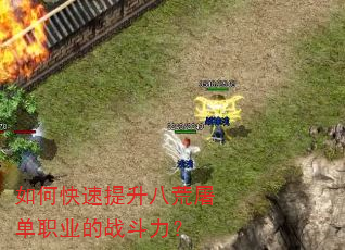 如何快速提升八荒屠单职业的战斗力? 如何快速提升八荒屠单职业的战斗力?