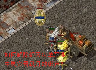 如何解除幻天决单职业中灵宠晋级丹的绑定? 如何解除幻天决单职业中灵宠晋级丹的绑定?