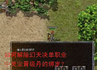 如何解除幻天决单职业中灵宠晋级丹的绑定? 如何解除幻天决单职业中灵宠晋级丹的绑定?