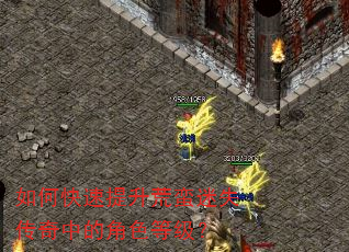 如何快速提升荒蛮迷失传奇中的角色等级? 如何快速提升荒蛮迷失传奇中的角色等级?