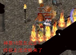 神墓10层怎么走?终极走法攻略来了 神墓10层怎么走?终极走法攻略来了