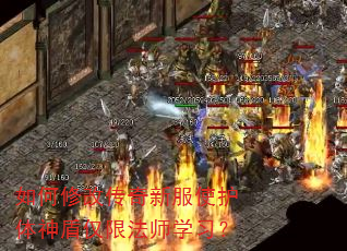 如何修改传奇新服使护体神盾仅限法师学习? 如何修改传奇新服使护体神盾仅限法师学习?