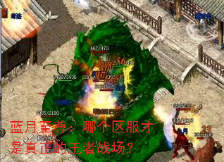 蓝月至尊:哪个区服才是真正的王者战场? 蓝月至尊:哪个区服才是真正的王者战场?