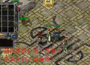 蓝月至尊:哪个区服才是真正的王者战场? 蓝月至尊:哪个区服才是真正的王者战场?