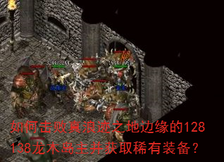 如何击败真浪迹之地边缘的128138龙木岛主并获取稀有装备? 如何击败真浪迹之地边缘的128138龙木岛主并获取稀有装备?