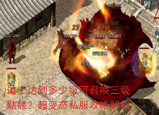 道士达到多少级可召唤三级骷髅?超变态私服攻略解析 道士达到多少级可召唤三级骷髅?超变态私服攻略解析