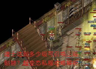 道士达到多少级可召唤三级骷髅?超变态私服攻略解析 道士达到多少级可召唤三级骷髅?超变态私服攻略解析
