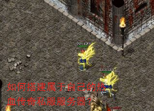 ��δ�����Լ�����Ѫ����˽����������