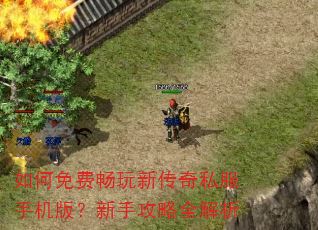 �����ѳ����´���˽���ֻ��棿���ֹ���ȫ����