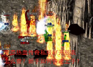 ��̬��Ѫ����˽��sf��������ô�飿������ο������֣�