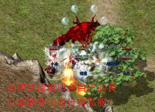 ���ѡ�����ʺ��Լ������ĵ�ְҵ��Ѫ����˽����