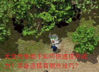天堂传奇新手如何快速提升战力?装备选择有哪些技巧? 天堂传奇新手如何快速提升战力?装备选择有哪些技巧?