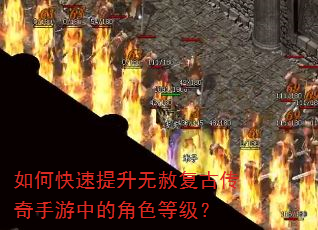 ��ο����������⸴�Ŵ��������еĽ�ɫ�ȼ���