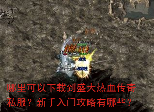����������ص�ʢ����Ѫ����˽�����������Ź�������Щ��