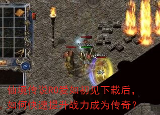 �ɾ���˵RO����������غ���ο�������ս����Ϊ���棿