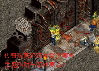 ������Ҿ����辯����Щ�������������Ҫ�㣿