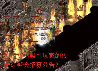 ���׫д������ҵĴ���SF�����ļ���棿