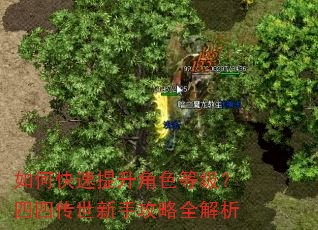 如何快速提升角色等级?四四传世新手攻略全解析 如何快速提升角色等级?四四传世新手攻略全解析