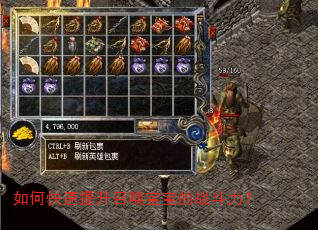 如何快速提升召唤宝宝的战斗力? 如何快速提升召唤宝宝的战斗力?