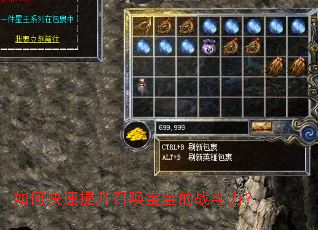 如何快速提升召唤宝宝的战斗力? 如何快速提升召唤宝宝的战斗力?