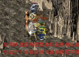 如何快速提升蝶灵单职业传奇私服角色等级与战力?装备获取与技能搭配有哪些技巧? 如何快速提升蝶灵单职业传奇私服角色等级与战力?装备获取与技能搭配有哪些技巧?