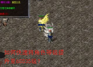 如何快速将角色等级提升至65535级? 如何快速将角色等级提升至65535级?