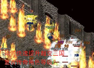 如何快速提升超变三国复古传奇角色等级? 如何快速提升超变三国复古传奇角色等级?