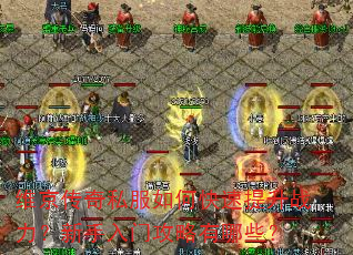 维京传奇私服如何快速提升战力?新手入门攻略有哪些? 维京传奇私服如何快速提升战力?新手入门攻略有哪些?