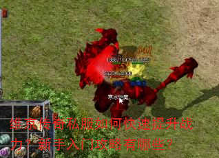 维京传奇私服如何快速提升战力?新手入门攻略有哪些? 维京传奇私服如何快速提升战力?新手入门攻略有哪些?