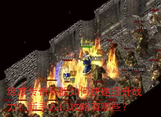 维京传奇私服如何快速提升战力?新手入门攻略有哪些? 维京传奇私服如何快速提升战力?新手入门攻略有哪些?