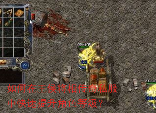 如何在王侯将相传奇私服中快速提升角色等级? 如何在王侯将相传奇私服中快速提升角色等级?