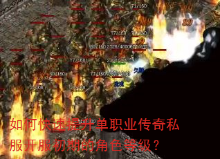 如何快速提升单职业传奇私服开服初期的角色等级? 如何快速提升单职业传奇私服开服初期的角色等级?