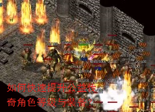 如何快速提升公益传奇角色等级与装备? 如何快速提升公益传奇角色等级与装备?