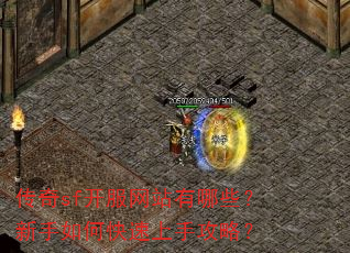 传奇sf开服网站有哪些?新手如何快速上手攻略? 传奇sf开服网站有哪些?新手如何快速上手攻略?