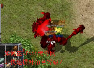 如何在sf666传奇网站快速提升角色等级? 如何在sf666传奇网站快速提升角色等级?