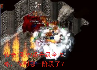 传奇1到99级升级全攻略,你到哪一阶段了? 传奇1到99级升级全攻略,你到哪一阶段了?