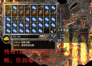 传奇1到99级升级全攻略,你到哪一阶段了? 传奇1到99级升级全攻略,你到哪一阶段了?