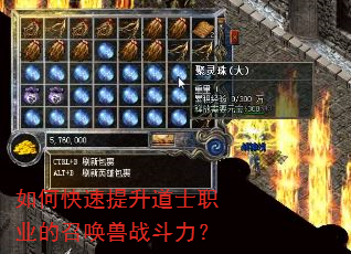 如何快速提升道士职业的召唤兽战斗力? 如何快速提升道士职业的召唤兽战斗力?