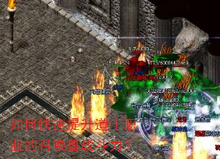 如何快速提升道士职业的召唤兽战斗力? 如何快速提升道士职业的召唤兽战斗力?