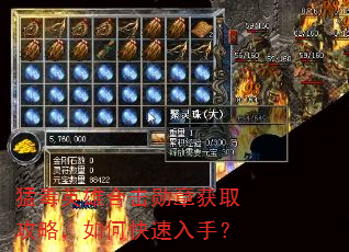 猛毒英雄合击勋章获取攻略,如何快速入手? 猛毒英雄合击勋章获取攻略,如何快速入手?