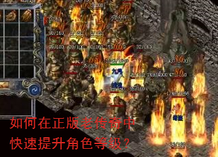 如何在正版老传奇中快速提升角色等级? 如何在正版老传奇中快速提升角色等级?