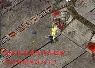 如何快速提升特殊单职业传奇角色战斗力? 如何快速提升特殊单职业传奇角色战斗力?