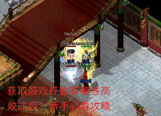 获取游戏经验有哪些高效途径?新手必看攻略 获取游戏经验有哪些高效途径?新手必看攻略