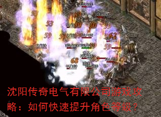 沈阳传奇电气有限公司游戏攻略:如何快速提升角色等级? 沈阳传奇电气有限公司游戏攻略:如何快速提升角色等级?